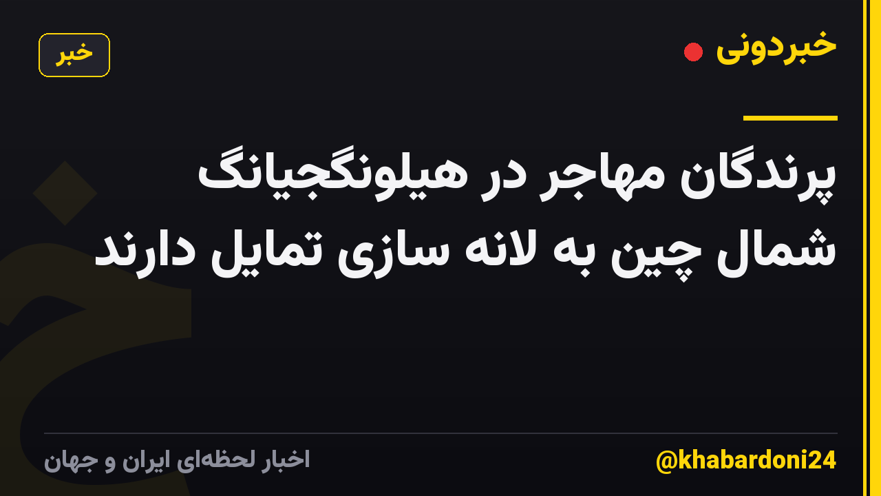 پرندگان مهاجر در هیلونگجیانگ شمال چین به لانه سازی تمایل دارند