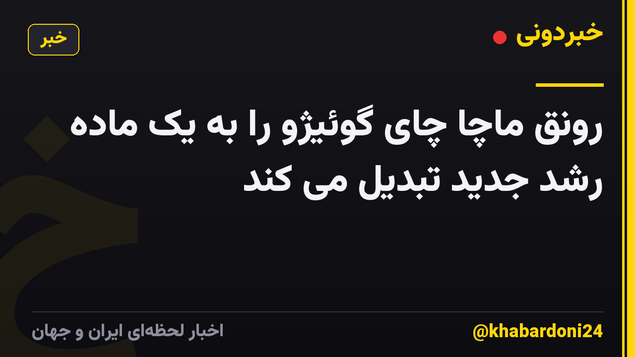 رونق ماچا چای گوئیژو را به یک ماده رشد جدید تبدیل می کند