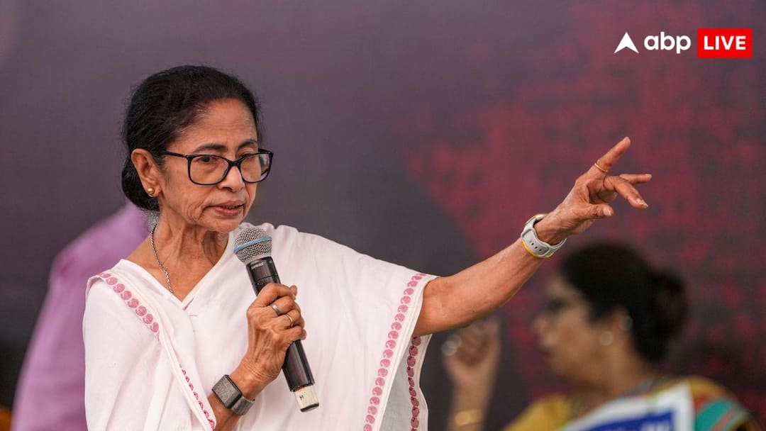 مسیر متمایز دیدی: چرا از دست دادن نماد TMC سرنوشت Shiv Sena-NCP را برای ماماتا تکرار نمی کند