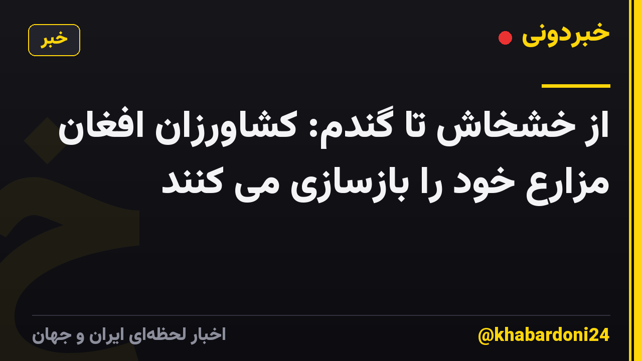 از خشخاش تا گندم: کشاورزان افغان مزارع خود را بازسازی می کنند