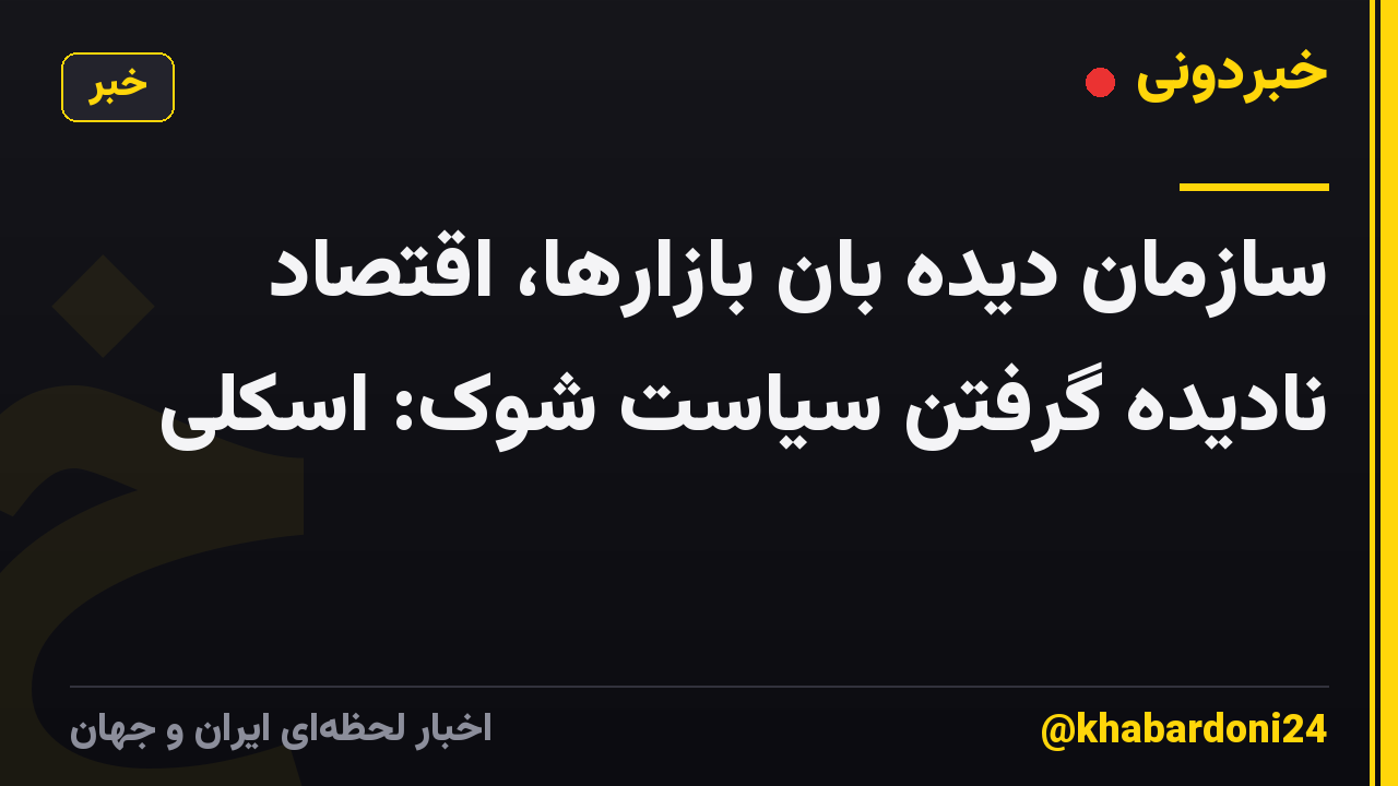 سازمان دیده بان بازارها، اقتصاد نادیده گرفتن سیاست شوک: اسکلی