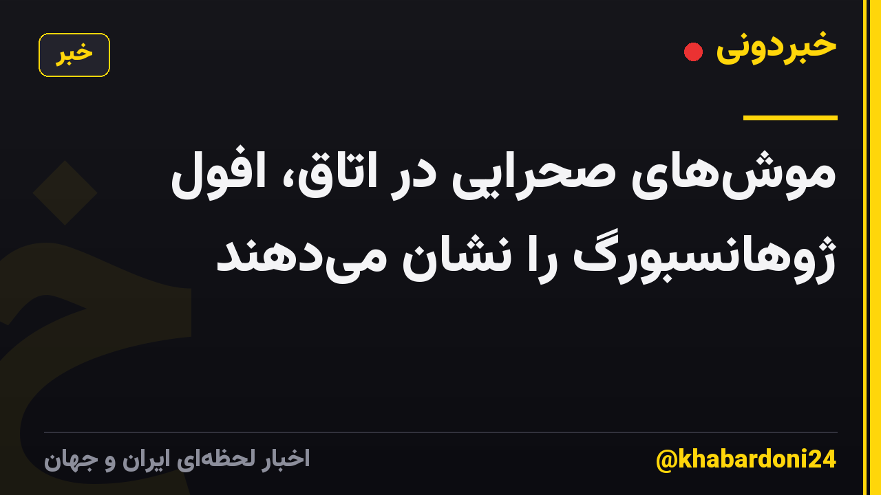 موش‌های صحرایی در اتاق، افول ژوهانسبورگ را نشان می‌دهند