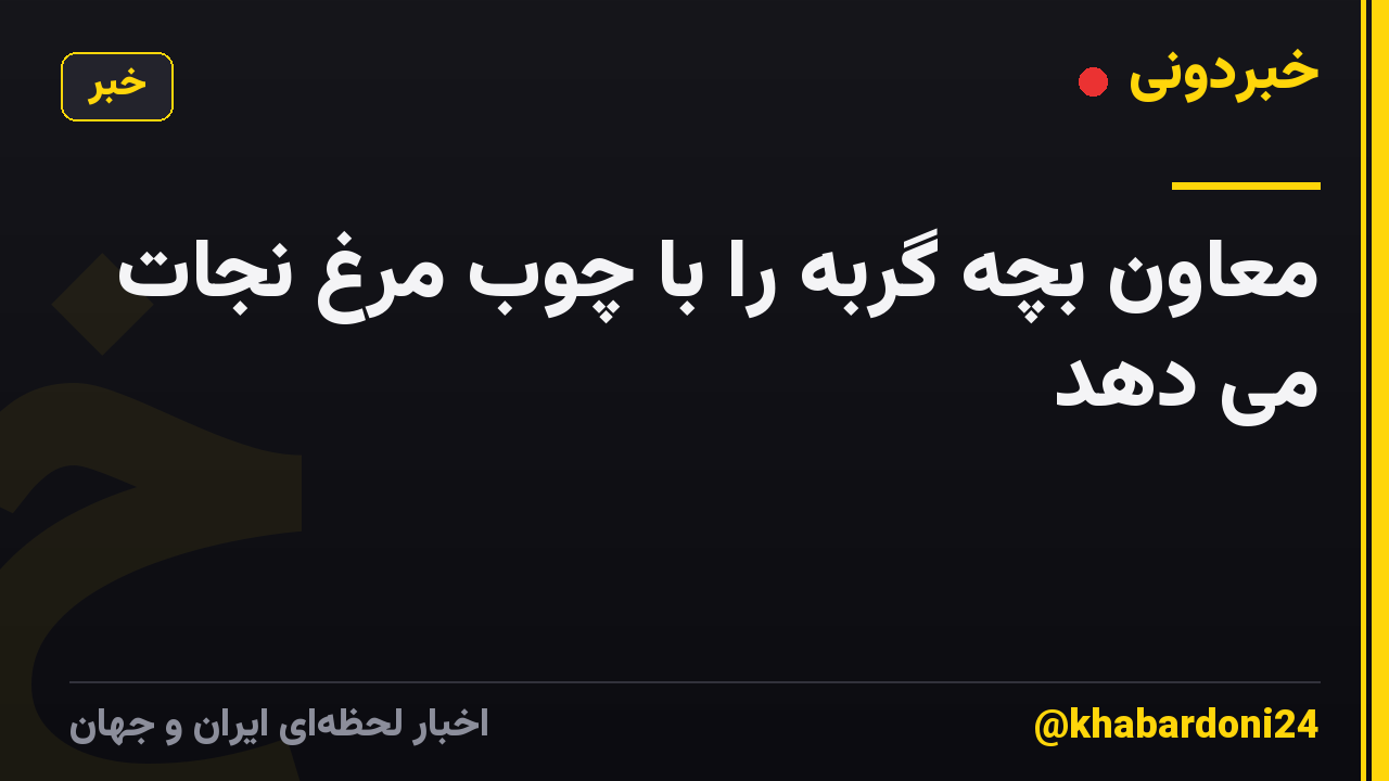 معاون بچه گربه را با چوب مرغ نجات می دهد