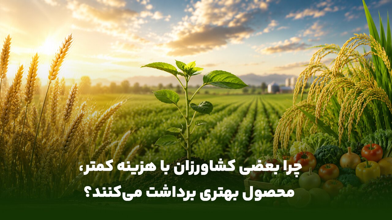 چرا بعضی کشاورزان با هزینه کمتر، محصول بهتری برداشت می‌کنند؟