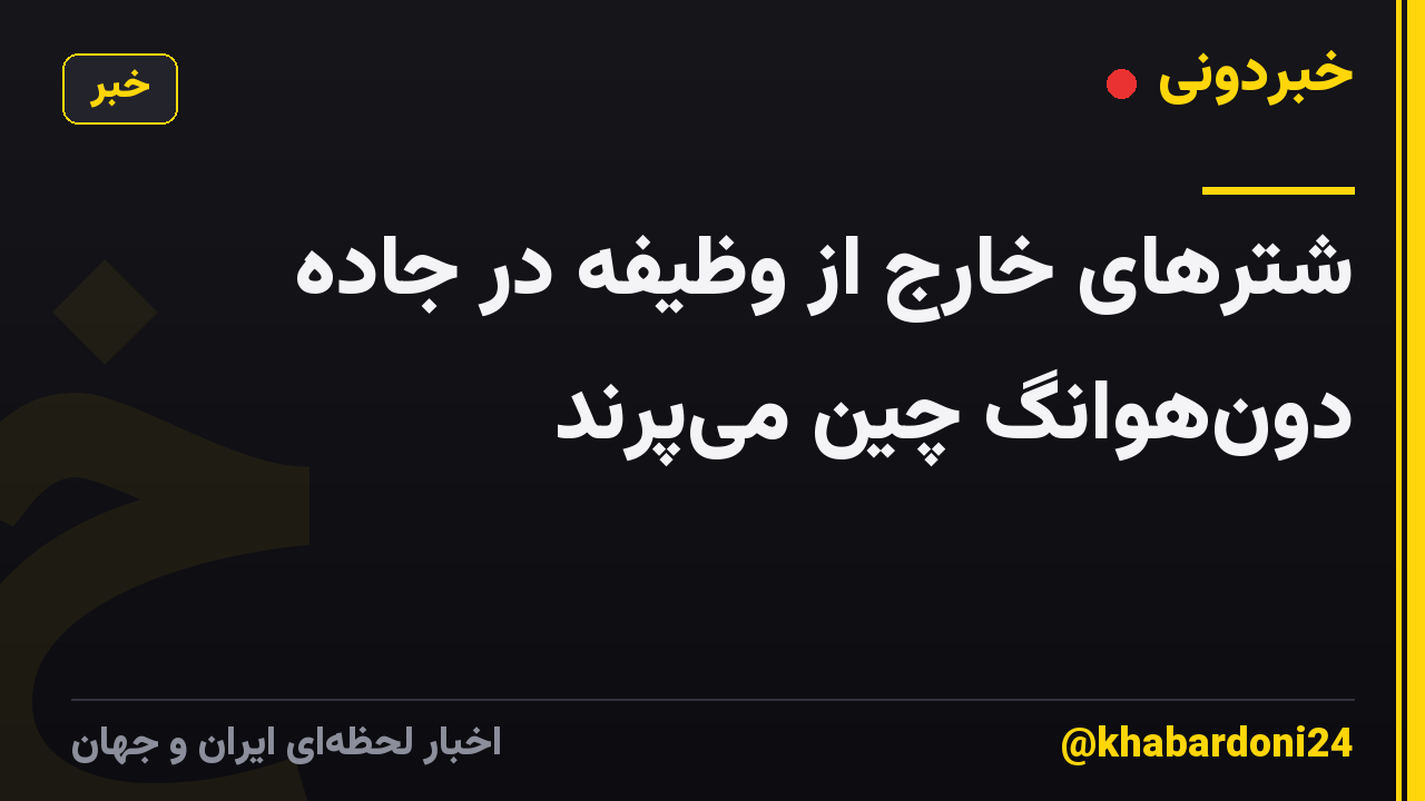 شترهای خارج از وظیفه در جاده دون‌هوانگ چین می‌پرند