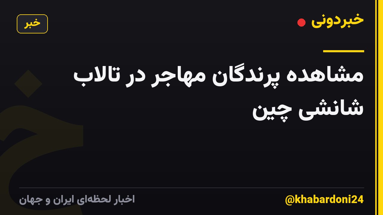 مشاهده پرندگان مهاجر در تالاب شانشی چین