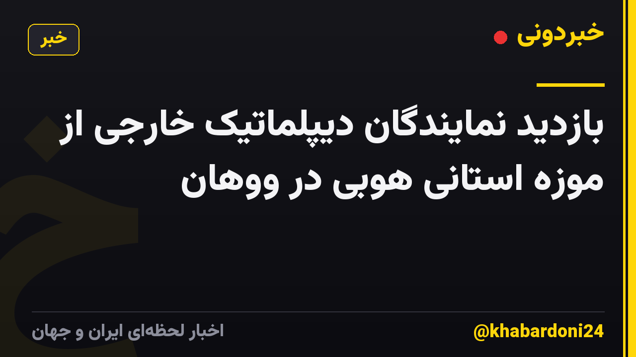 بازدید نمایندگان دیپلماتیک خارجی از موزه استانی هوبی در ووهان