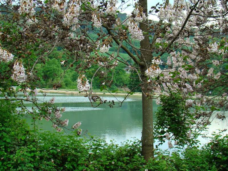 آب‌بندان توشن، یکی از جلوه‌های ارزشمند طبیعت استان گلستان