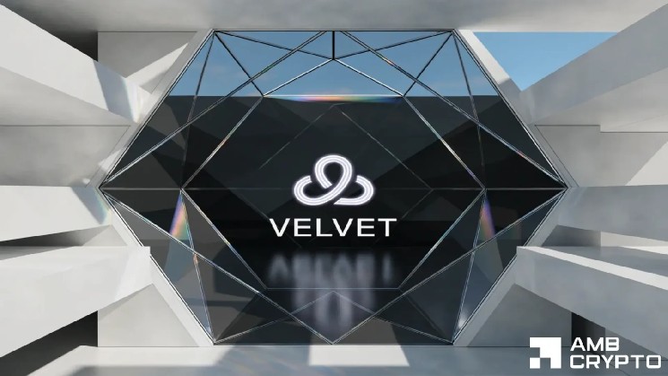 385٪ پس از اصلاح 84٪ - چگونه باید روند قیمت VELVET را رمزگشایی کنید؟