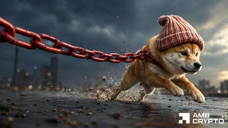 dogwifhat 16 درصد جهش کرد - اما مقاومت گسترده در مسیر WIF به سمت دستاوردهای بیشتر قرار دارد