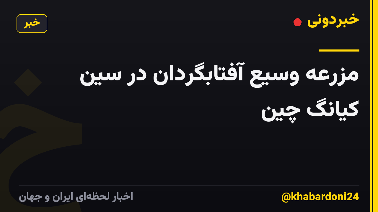 مزرعه وسیع آفتابگردان در سین کیانگ چین