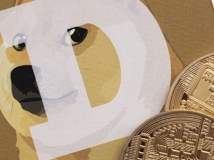 سوددهی Dogecoin به بیش از 50٪ بازگشت: در اینجا معنی آن برای دارندگان DOGE چیست