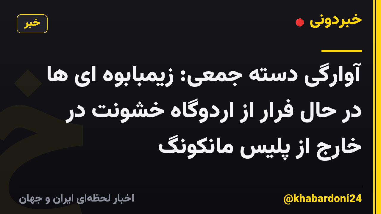 آوارگی دسته جمعی: زیمبابوه ای ها در حال فرار از اردوگاه خشونت در خارج از پلیس مانکونگ