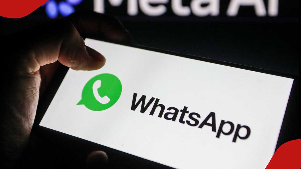 "شماره تلفن شما شخصی است": WhatsApp نام های کاربری را برای افزایش حریم خصوصی معرفی می کند