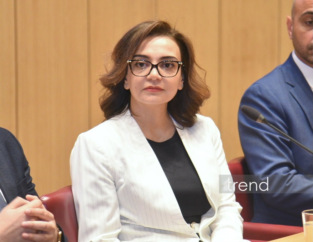 آذربایجان پتانسیل قابل توجهی برای توسعه تحقیقات علمی دارد - سوینچ مامادوا