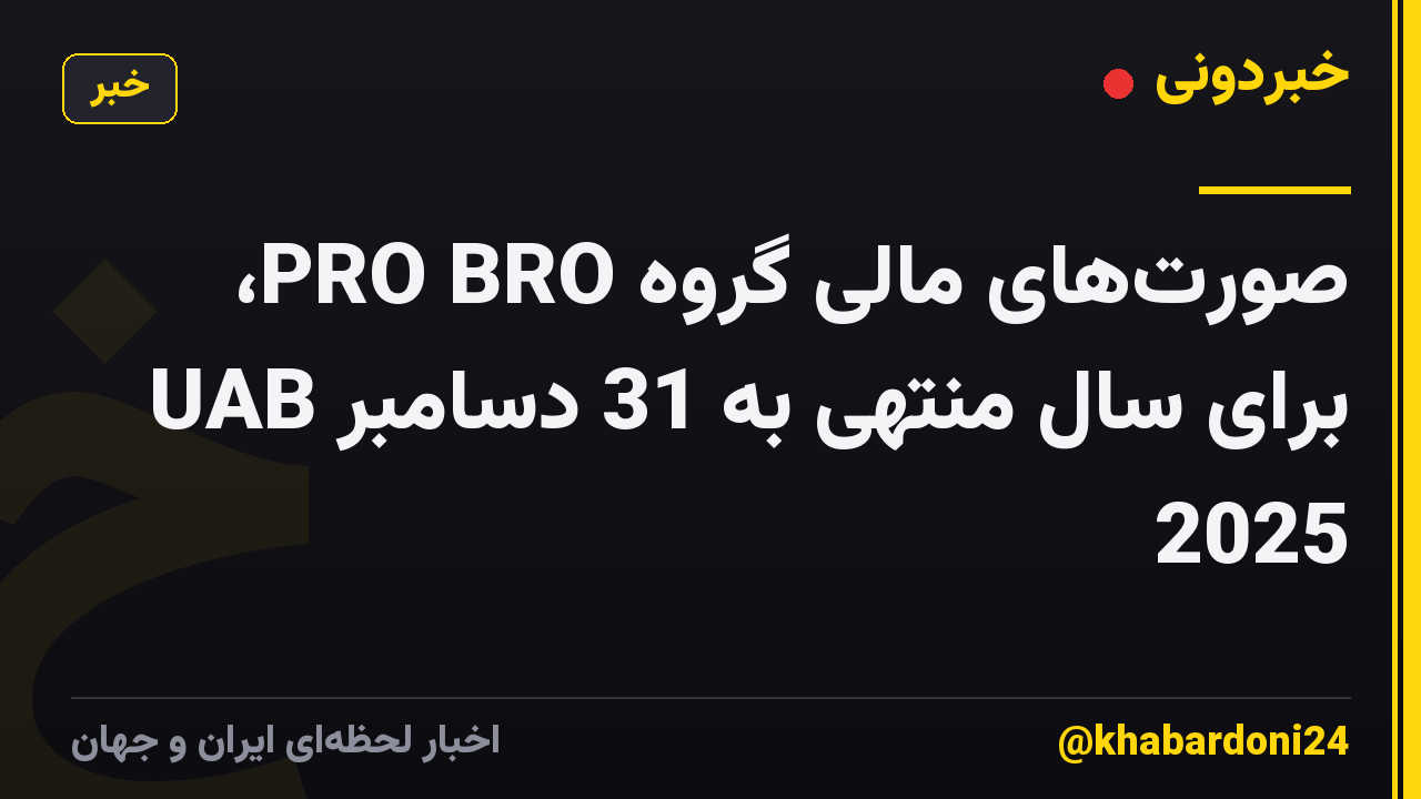 صورت‌های مالی گروه PRO BRO، UAB برای سال منتهی به 31 دسامبر 2025