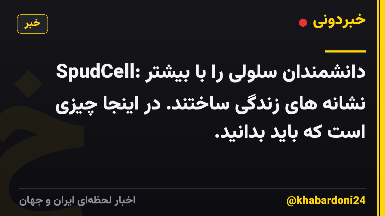 SpudCell: دانشمندان سلولی را با بیشتر نشانه های زندگی ساختند. در اینجا چیزی است که باید بدانید.