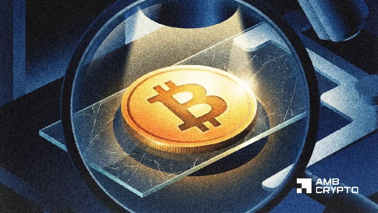تاریخ به نفع یکی دیگر از بیت کوین ضعیف H2 است - آیا نقدینگی می تواند چرخه 2026 بیت کوین را بازنویسی کند؟
