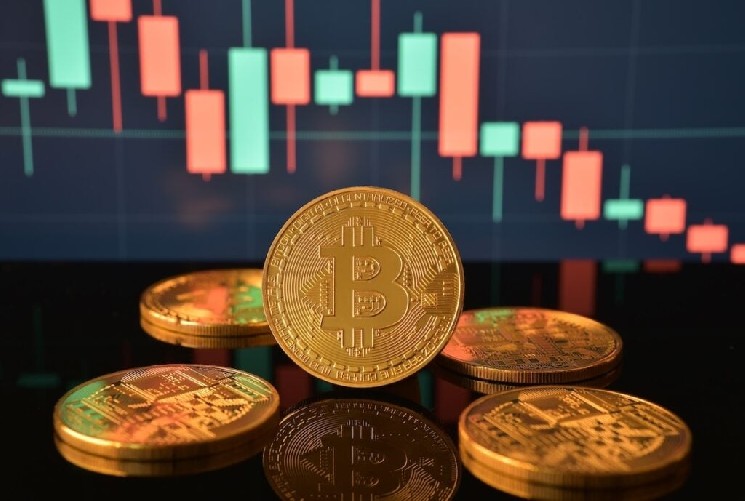 بیت کوین با افزایش نگرانی های کوین وارش از تورم. Ethereum، XRP، Dogecoin نیز سود می‌برند: تحلیلگر محبوب می‌گوید «پایین بازار اینجاست»