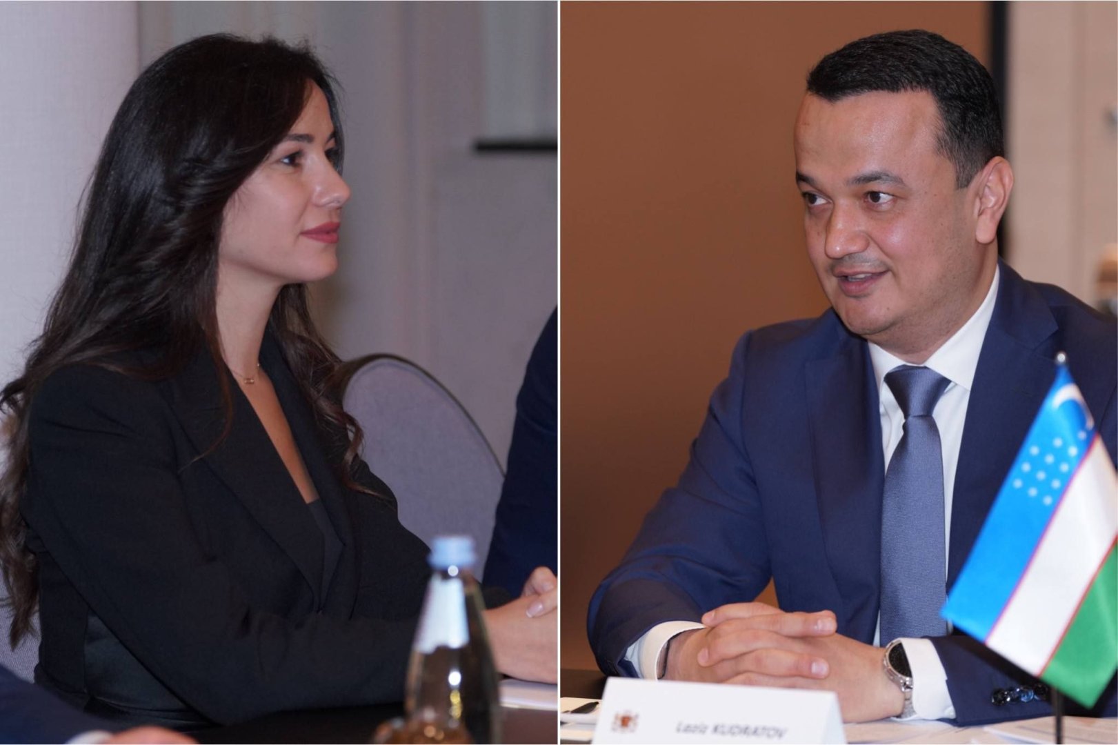 ازبکستان دستور کار تجارت و سرمایه گذاری را در مذاکرات گرجستان پیش می برد