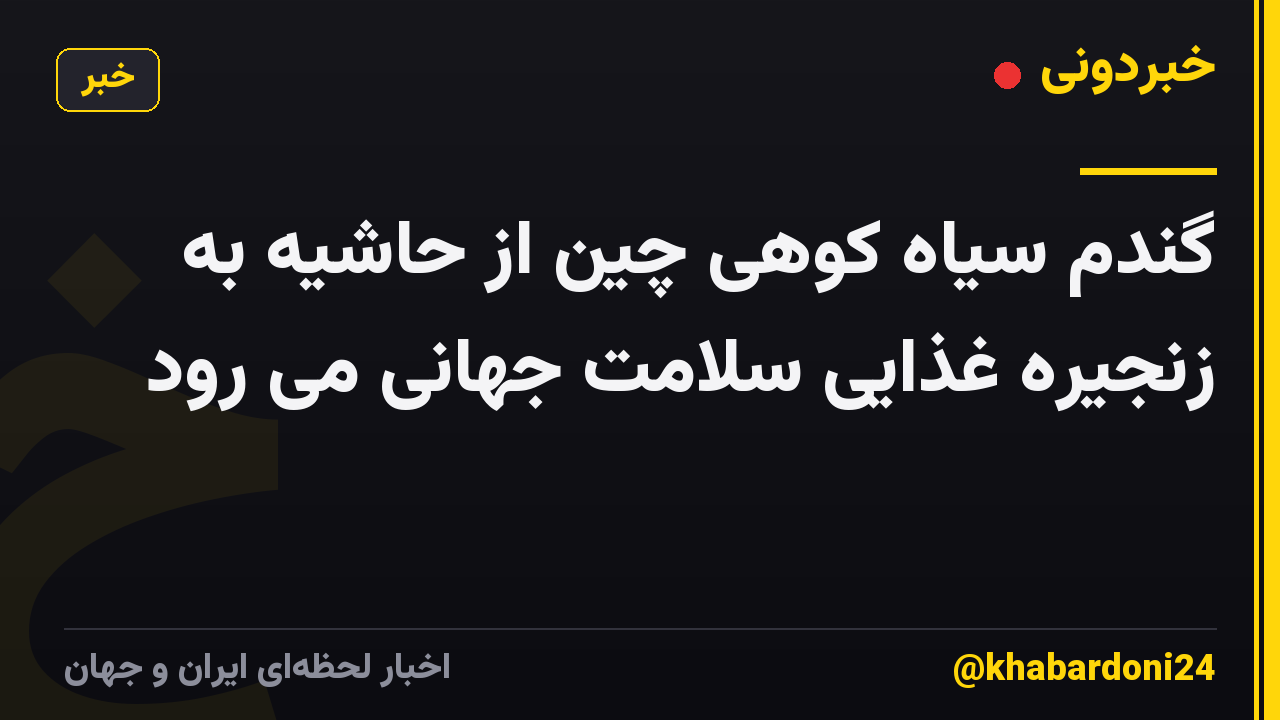 گندم سیاه کوهی چین از حاشیه به زنجیره غذایی سلامت جهانی می رود