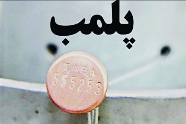 ۱۴ واحد صنفی متخلف در بوشهر پلمب شد