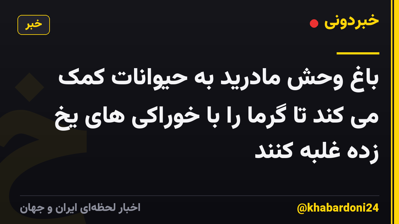 باغ وحش مادرید به حیوانات کمک می کند تا گرما را با خوراکی های یخ زده غلبه کنند
