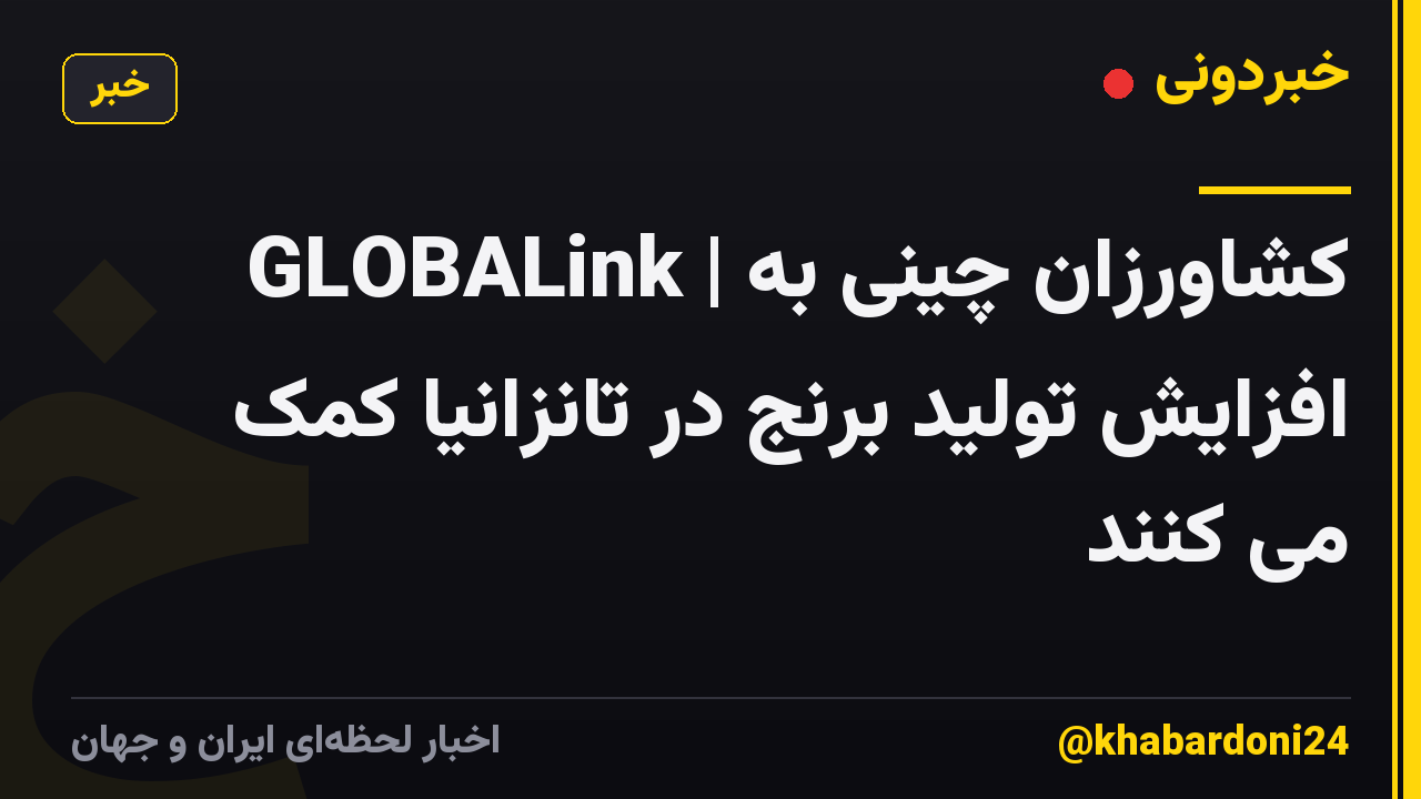 GLOBALink | کشاورزان چینی به افزایش تولید برنج در تانزانیا کمک می کنند