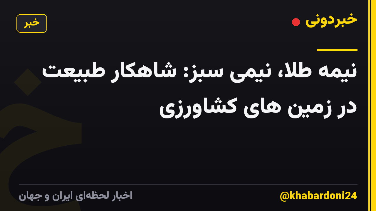 نیمه طلا، نیمی سبز: شاهکار طبیعت در زمین های کشاورزی