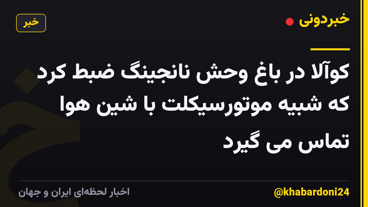 کوآلا در باغ وحش نانجینگ ضبط کرد که شبیه موتورسیکلت با شین هوا تماس می گیرد