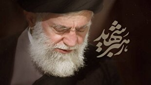 از صفوف تشییع تا هشتگهای دلتنگی + فیلم