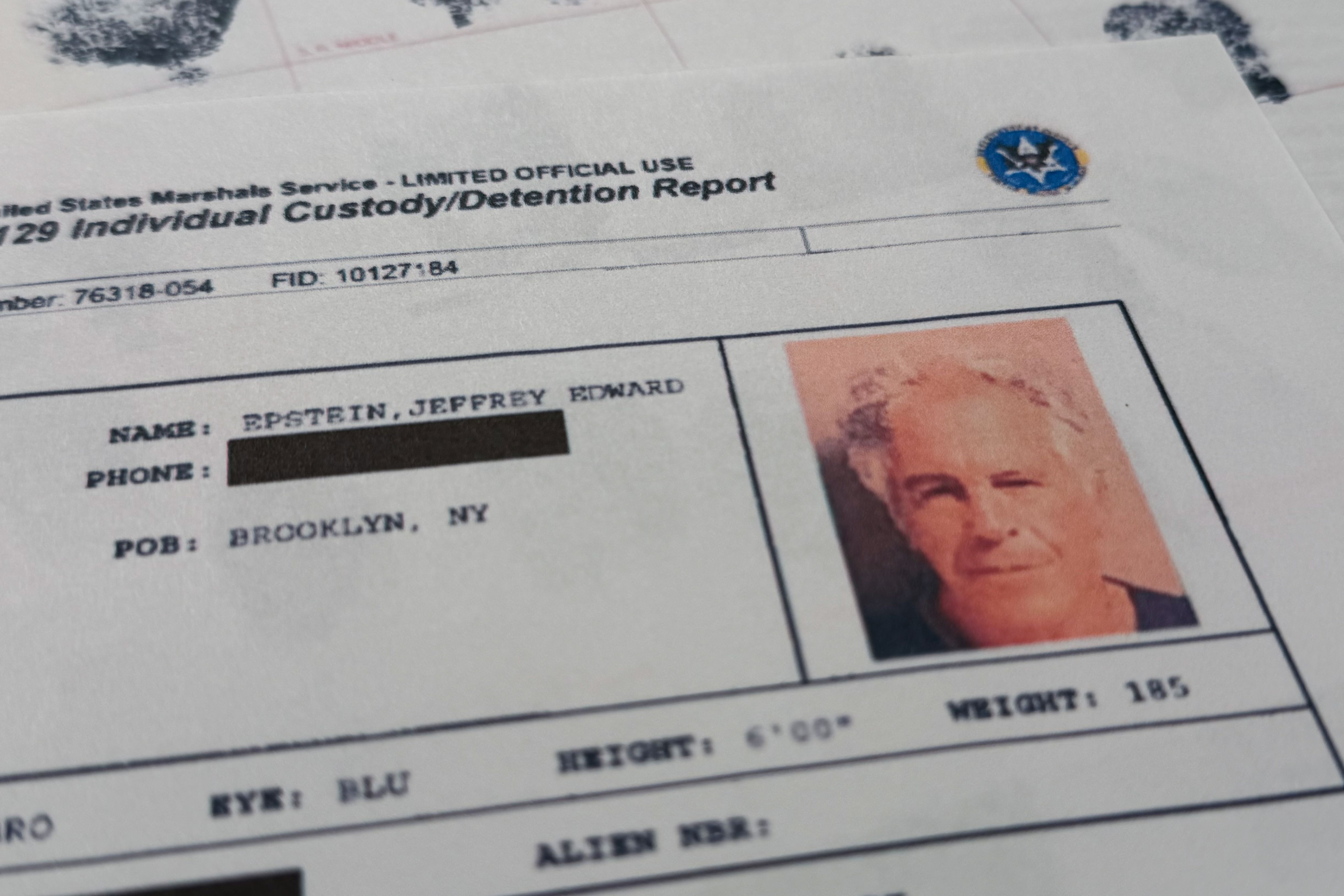 مردی که به FBI گفت اپستین برای موساد کار میکرد، یک بار برای درشوویتز بازداشت شد