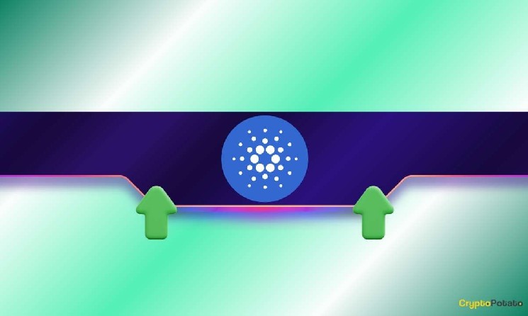چرا Cardano (ADA) 15٪ در یک هفته افزایش می یابد؟