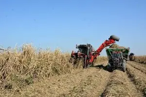 کار در گرمای جنوب با حقوق ناچیز ۱۵ میلیون تومانی/ چرا با پیمانکاران متخلف برخورد نمیشود؟