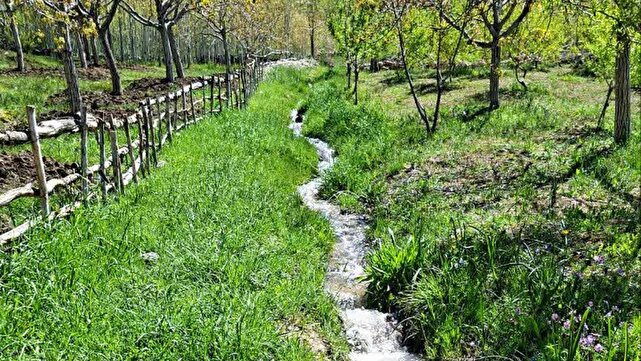 هنرمندی که طبیعت را قاب می‌گیرد + تصاویر