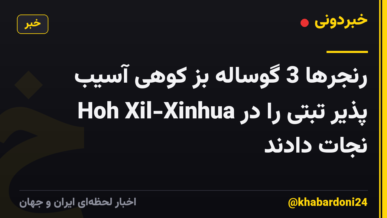 رنجرها 3 گوساله بز کوهی آسیب پذیر تبتی را در Hoh Xil-Xinhua نجات دادند