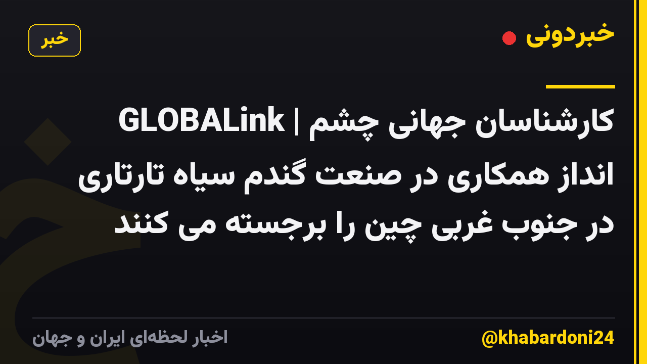 GLOBALink | کارشناسان جهانی چشم انداز همکاری در صنعت گندم سیاه تارتاری در جنوب غربی چین را برجسته می کنند