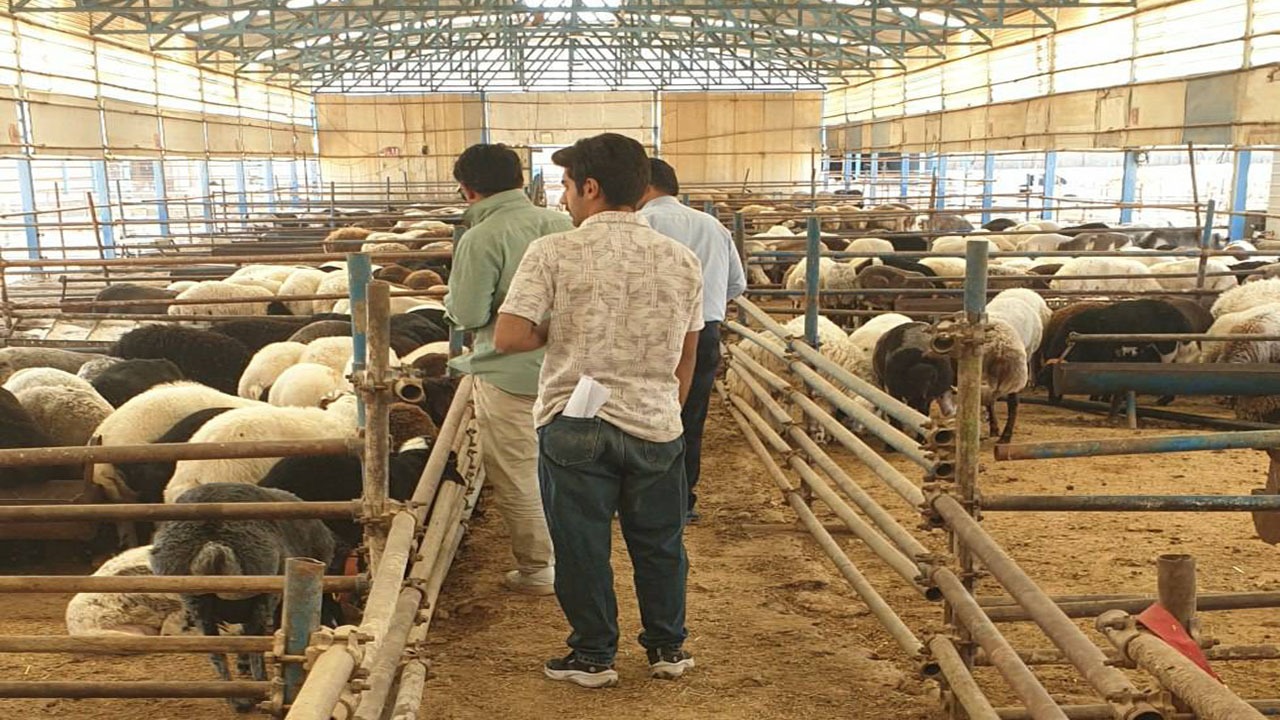 محمولههایی که به ظن قاچاق توقیف شدند
