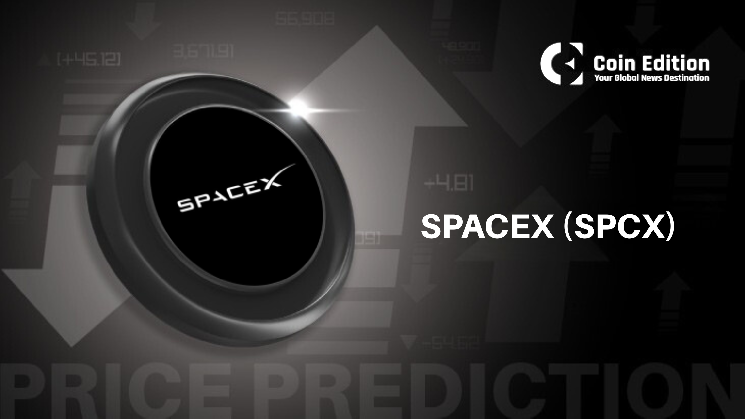 مجموعه SpaceX برای ورود Nasdaq-100 به عنوان 4.3 میلیارد دلار در صندوق خرید بافندگی