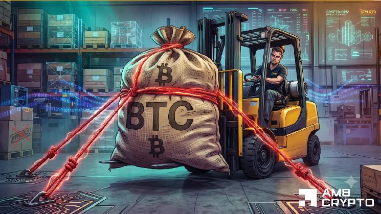 بیت کوین: بیت کوین نیمی از ارزش خود را از دست می دهد، اما این معیار انباشت آرام را نشان می دهد