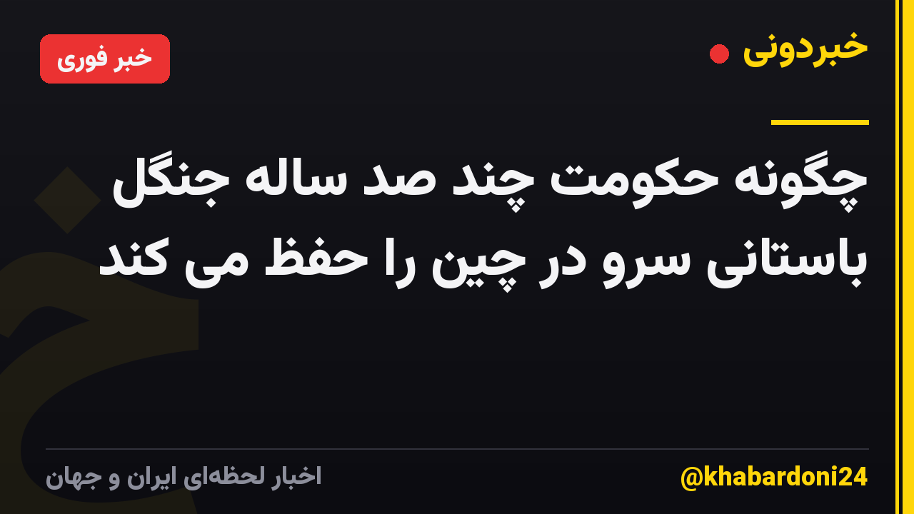 چگونه حکومت چند صد ساله جنگل باستانی سرو در چین را حفظ می کند