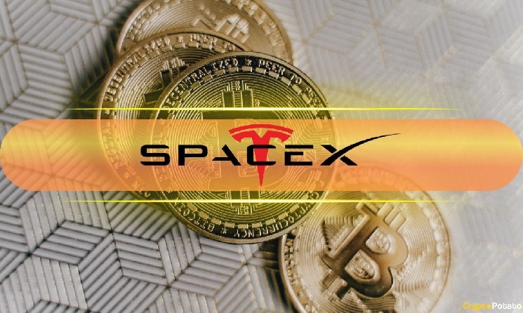 کیف پول بیت کوین اسپیس ایکس با یک تراکنش کوچک بیدار می شود: بعد چه می شود؟