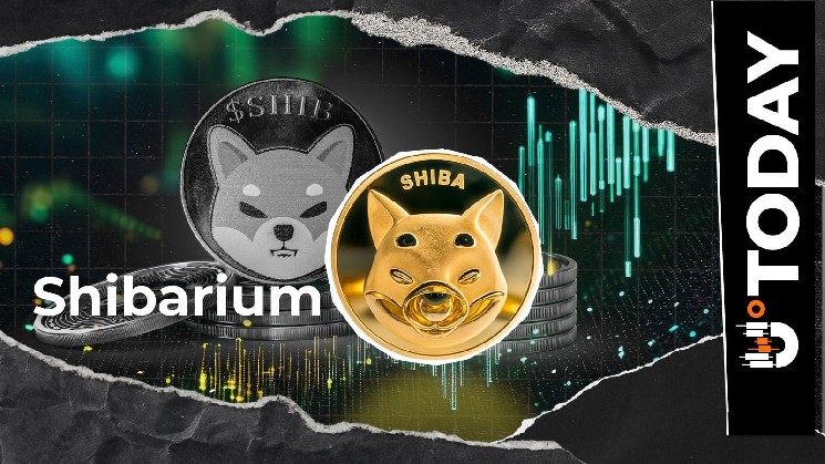 بهروزرسانی حیاتی اکوسیستم SHIB به انجمن شیبا اینو ارائه میشود: دلیل