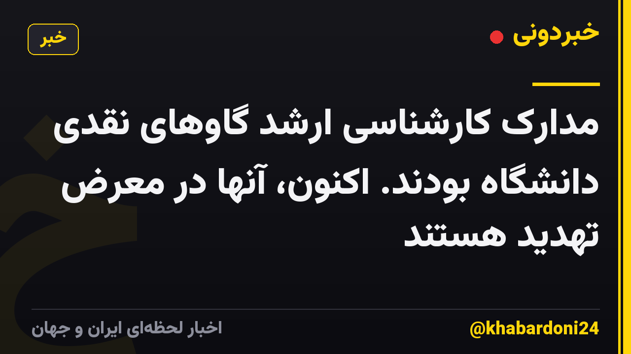 مدارک کارشناسی ارشد گاوهای نقدی دانشگاه بودند. اکنون، آنها در معرض تهدید هستند