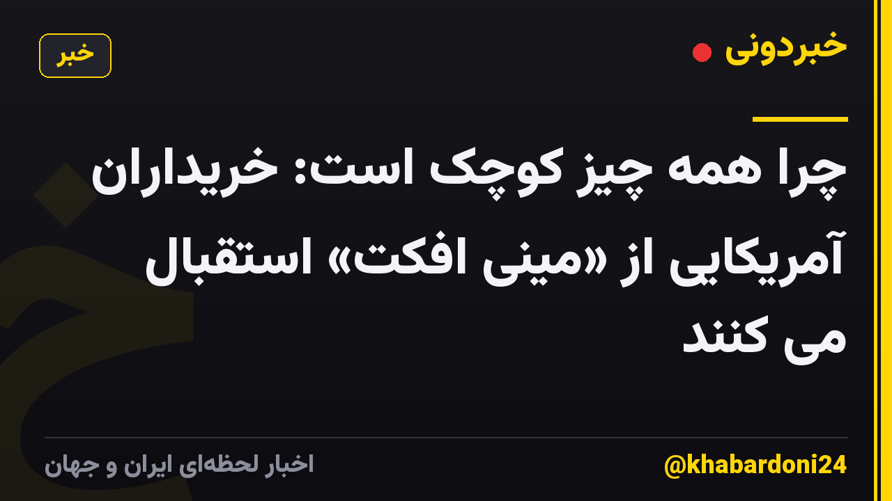 چرا همه چیز کوچک است: خریداران آمریکایی از «مینی افکت» استقبال می کنند