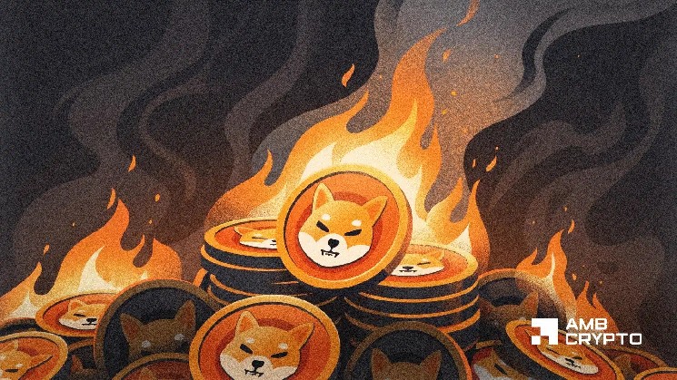 Shiba Inu علیرغم بزرگترین سوزاندن توکن در 6 ماه گذشته 5٪ کاهش می یابد - دلیل آن این است!