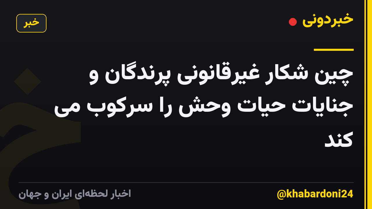 چین شکار غیرقانونی پرندگان و جنایات حیات وحش را سرکوب می کند