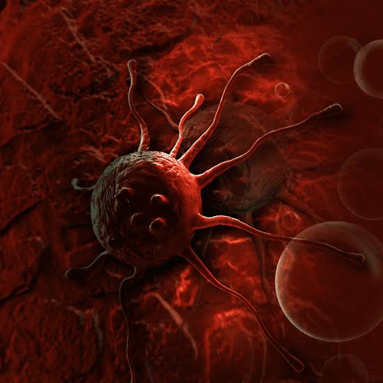 WHO: تقریباً همه حداقل یک بار در طول زندگی تحت تأثیر سرطان قرار می گیرند