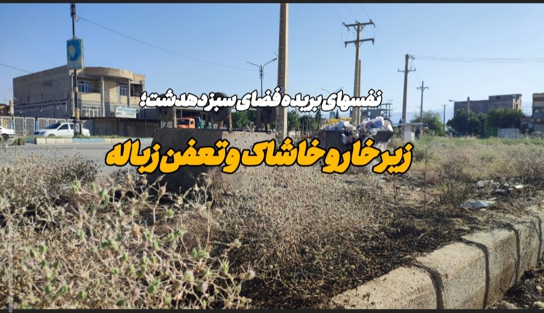 فیلم | نفس‌های بریده فضای سبز دهدشت از انباشت زباله