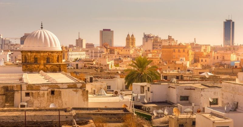 هرج و مرج مربیگری تونس در جام جهانی، شکاف موجود در توکنهای طرفداران کریپتوهای ورزشی را برجسته میکند